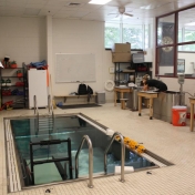 Hydrotherapy Area in Bobby Barton Athletic Training Room